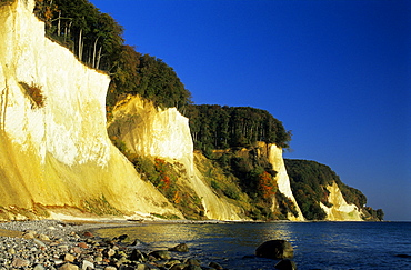 Europe, Germany, Mecklenburg-Western Pommerania, isle of Ruegen, chalk cliffs at Jasmund National Park, Kieler Ufer