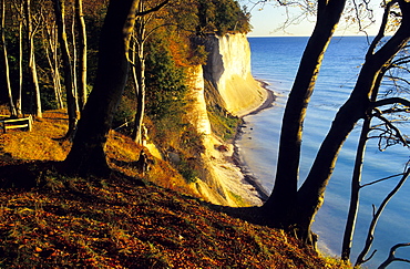 Europe, Germany, Mecklenburg-Western Pommerania, Ruegen, chalk cliffs at Jasmund National Park