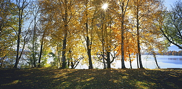 Staffelsee, Upper Bavaria, Germany00058318