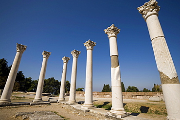 Group of ionic columns of the temple Asklipieion, Kos-Town, Kos, Greece