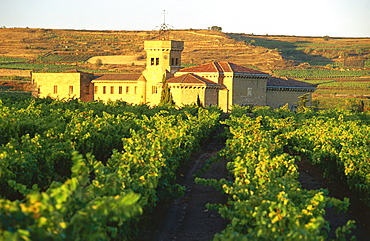 Vineyards and monastey, Monasterio de la Estrella, near San Asensio (Haro), La Rioja, Spain