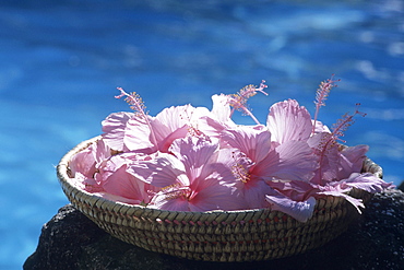 Hibiscus Basket, Tokoriki Island Resort, Tokoriki Island, Mamanuca Islands, Fiji