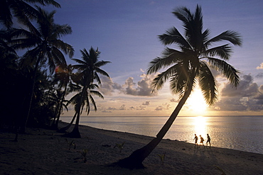 Coconut Tree and Beachcomber Sunset Silhouette, Aitutaki, Cook Islands