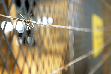 Barbed wire along the border, Point Alpha, near Rasdorf, Rhoen, Hesse and Thuringia, Germany