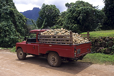 Pineapple Truck, Paopao Valley, Moorea, French Polynesia