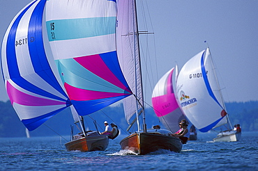 Sailing regatta, large dinghy sailing, Chiemsee Lake, Bavaria, Germany00022805