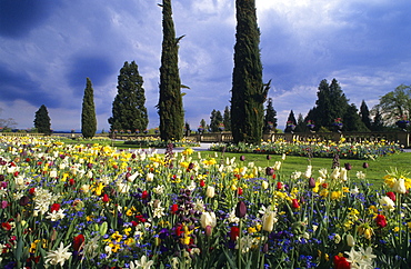 Europe, Germany, Baden-Wuerttemberg, Lake Constance, Mainau Island