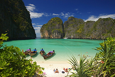 View over Maya Bay, a beautiful scenic lagoon, famous for the Hollywood film "The Beach" with sunbathing tourists and anchored boats, Ko Phi-Phi Leh, Ko Phi-Phi Islands, Krabi, Thailand, after the tsunami