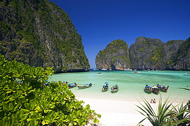 View over Maya Bay, a beautiful scenic lagoon, famous for the Hollywood film "The Beach" with anchored boats, Ko Phi-Phi Leh, Ko Phi-Phi Islands, Krabi, Thailand, after the tsunami