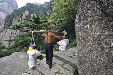 porter carrys building material on his back up steep mountain steps, Taoist mountain, Hua Shan, Shaanxi province, Taoist mountain, China, Asia