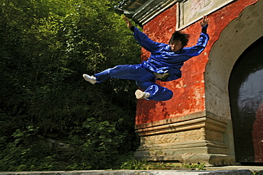 Taichi training from Wudang School of Martial Arts, in front of Purple Heaven Hall, Zi Xiao Gong, peak 1613 metres high, Wudang Shan, Taoist mountain, Hubei province, Wudangshan, Mount Wudang, UNESCO world cultural heritage site, birthplace of Tai chi, China, Asia