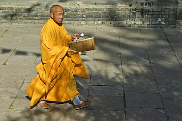 monk in yellow rope calls with a wooden drum for the prayer, during birthday of Wenshu, Wutai Shan, Five Terrace Mountain, Buddhist Centre, town of Taihuai, Shanxi province, China, Asia