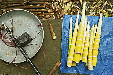 Bamboo shoots for sale and weighing scales, China