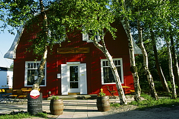 Framehouse, Vitte, Hiddensee Island, Mecklenburg-Western Pomerania, Germany, Europe