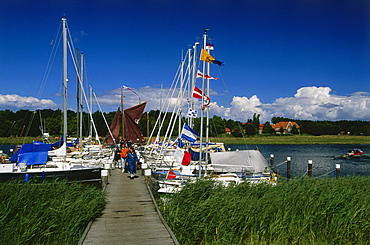 Harbour Prerow, Darss, Mecklenburg-Western Pomerania, Germany