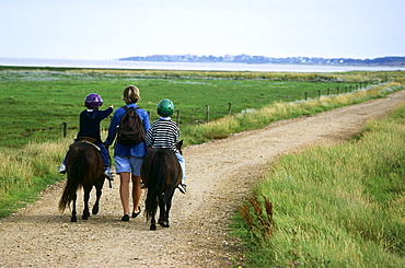 Hiking trail, Amrum, North Frisian, Islands, Schleswig-Holstein, Germany