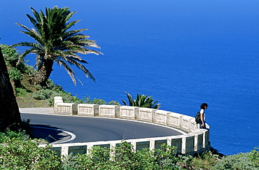 Road to Taganana, Anaga Mountains, Tenerife, Canary Islands, Spain