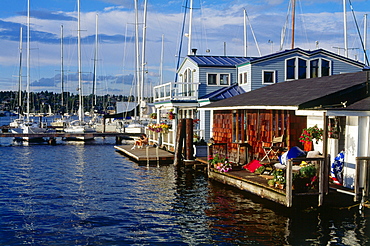 Marine and house boats, East Side of Lake Union, Seattle, Washington, USA