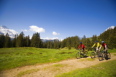 Three people riding mountain bikes at Bussalp (1800 m), v Grindelwald, Bernese Oberland (highlands), Canton of Bern, Switzerland