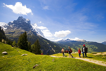 Hikers on alp Pfingstegg (1391 m), Schreckhorn (4078 m) and Eiger (3970 m) in background, Grindelwald, Bernese Oberland (highlands), Canton of Bern, Switzerland