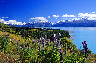 Lake Pukaki and Mount Cook Nationalpark, South Island, New Zealand