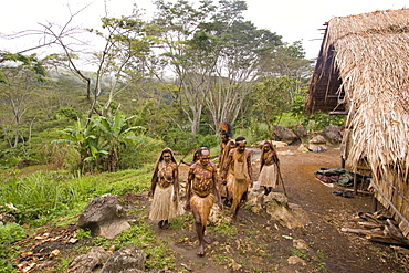 People at village at the coffee plantation, Langila, Highlands, Papua New Guinea, Oceania