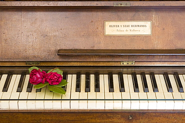 Kartause Valmossa, Chopin Museum, piano, Rosen, Mallorca