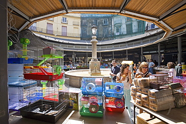 Plaza Redonda, open-air market in Valencia, Spain