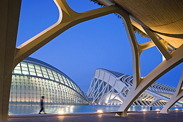 City of Arts and Sciences, Science Museum, Ciudad de las Artes y las Ciencias, Museo de las Ciencias Principe Felipe, like a skeleton of a giant whale, architect Calatrava, Valencia, Spain