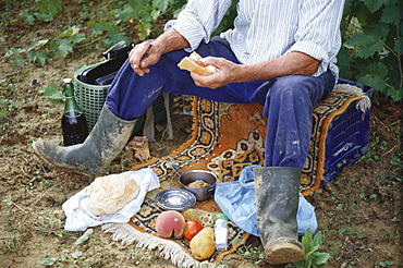 Man, vintner, having lunch, picnic, Landscape, Rural Landscape, Winegrowing