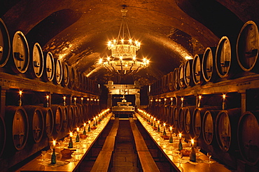 Wine cellar of the Residenz, Hotel cellar, Wurzburg, Franconia, Germany