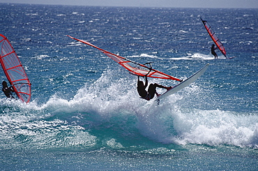 People windsurfing at Costa de la Luz, Provinz Cadiz, Andalusia, Spain