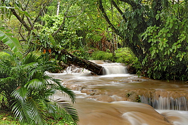 Aqua Azul, water cascades in a tropical forest, Chiapas, Mexico