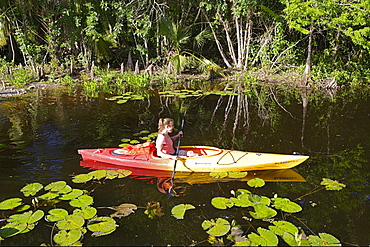 Kayaking in Big Cypress National preserve which is part of the Everglades, Florida, USA