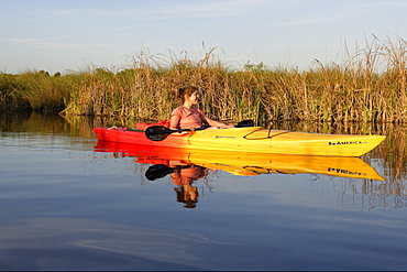 Kayaking in Big Cypress National preserve which is part of the Everglades, Florida, USA