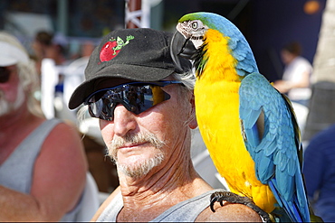 Man with parrot, Fort Myers Beach, Florida, USA