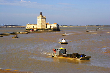 Pointe du Chapus, Le Chapus, oyster-culture, Fort Louvois, dept Charente-Maritime, Charente-VendÃˆe, France, Europe