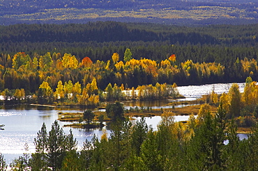 Fall between Mora and Aelvdalen at the Oesterdalaelven, Dalarna, middle Sweden