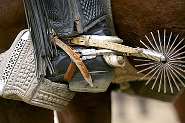 Cowboy boot with spur at a rodeo in Conchi, Chilou, Chile, South America