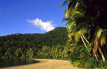 Brammo Bay, the main beach of the Dunk Island Resort, Dunk Island, Great Barrier Reef, Australia