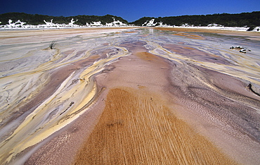 Tannin coloured water flows into Lake Boomanjin, Fraser island, Great Barrier Reef, Australia