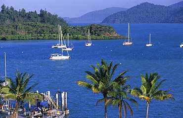 Shute Harbour is the gateway to the Whitsunday Islands, Great Barrier Reef, Australia