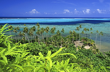 Reef and lagoone on the west coast, Raiatea, French Polynesia, South Sea