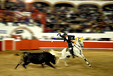 Bullfight with picador in San Miguel de Allende, Mexico