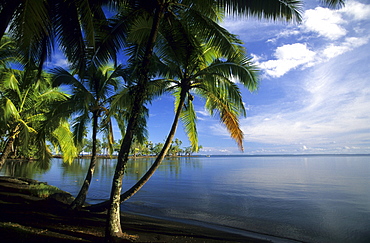 Lagoon near the Batanical Gardens, Tahiti, French Polynesia, south sea