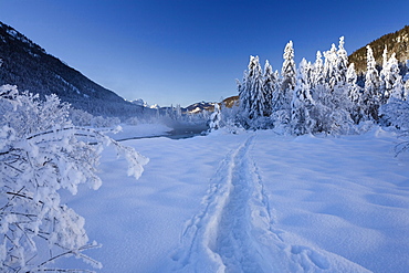 winterscenery with skitracks, Upper Bavaria, Germany