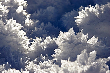 snow crystals, sun, Bavaria, Germany