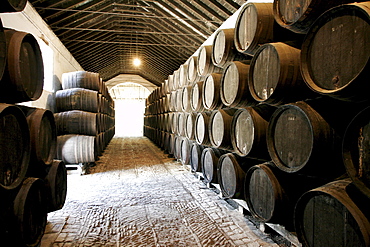 Barrels in a wine cellar, Bodegas Gongora, Villanueva del Ariscal, near Sevilla, Andalusia, Spain, Europe