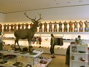 Switzerland, Zurich, Alpenrausch fashion shop