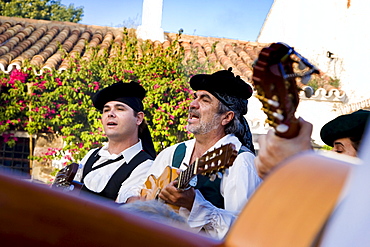 Singer, Seville, Andalusia, Spain